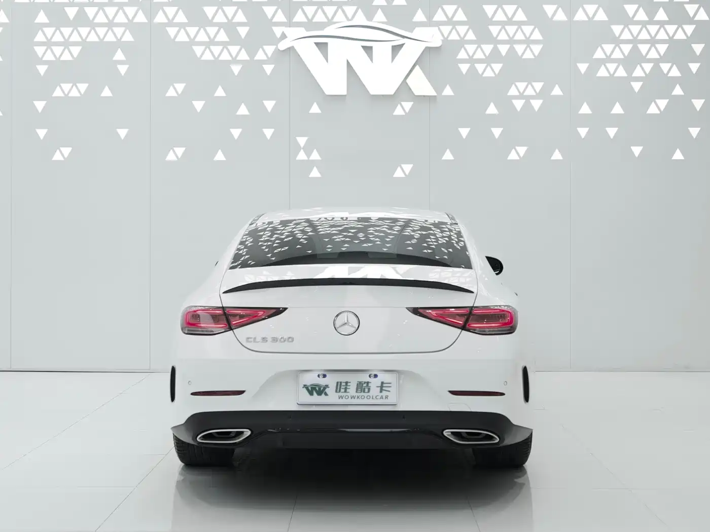 Mercedes-Benz CLS 2022 CLS 300 Dynamic фото 5
