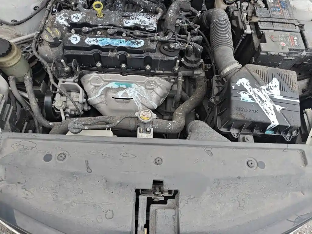 Changan Eado DT 2022 2021 1.6L Automatic Luxury