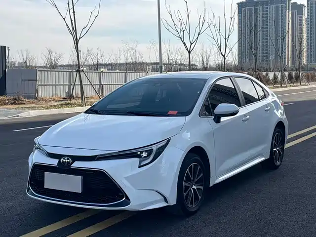 TOYOTA LEI LING 2024