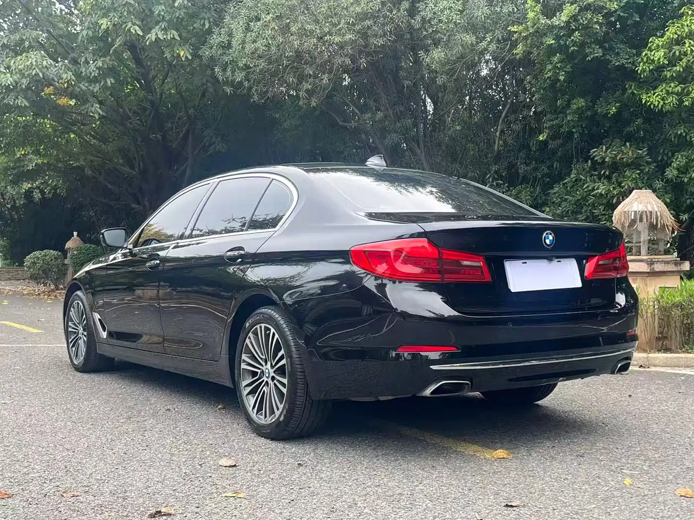 BMW 5 Series 2018 Facelift 530Li Exclusive Luxury Package фото 9