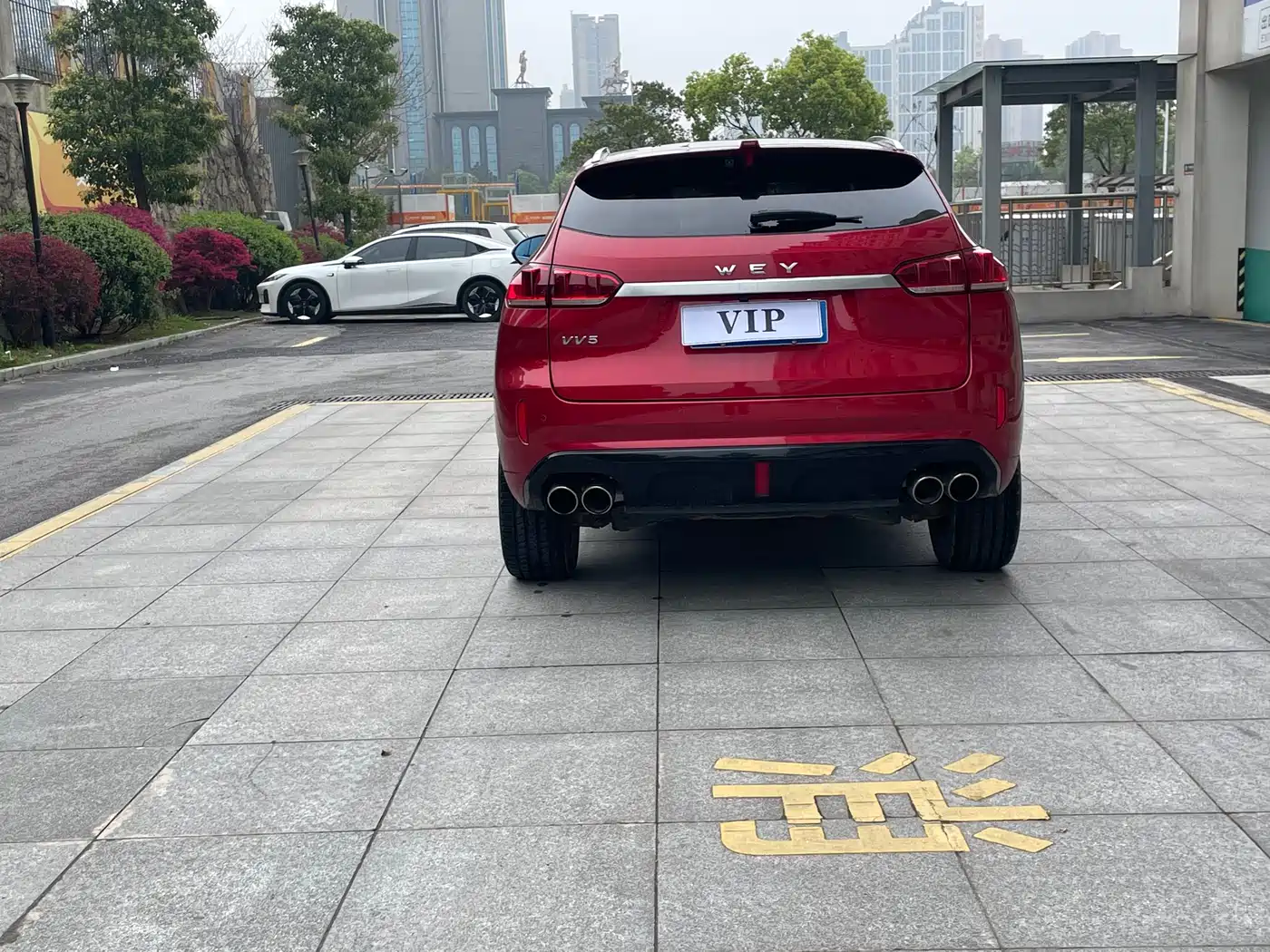 WEI PAI WEI BRAND VV5