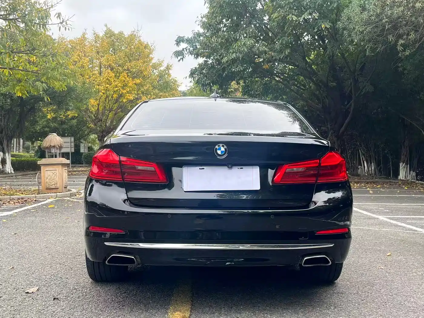 BMW 5 Series 2018 Facelift 530Li Exclusive Luxury Package фото 8