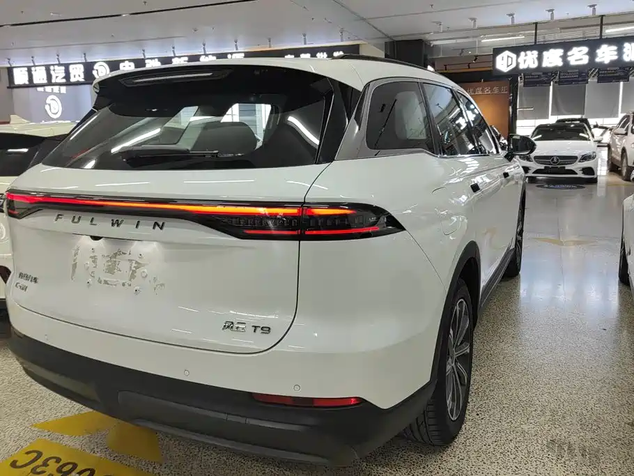 2025 Chery Fengyun Fengyun T9