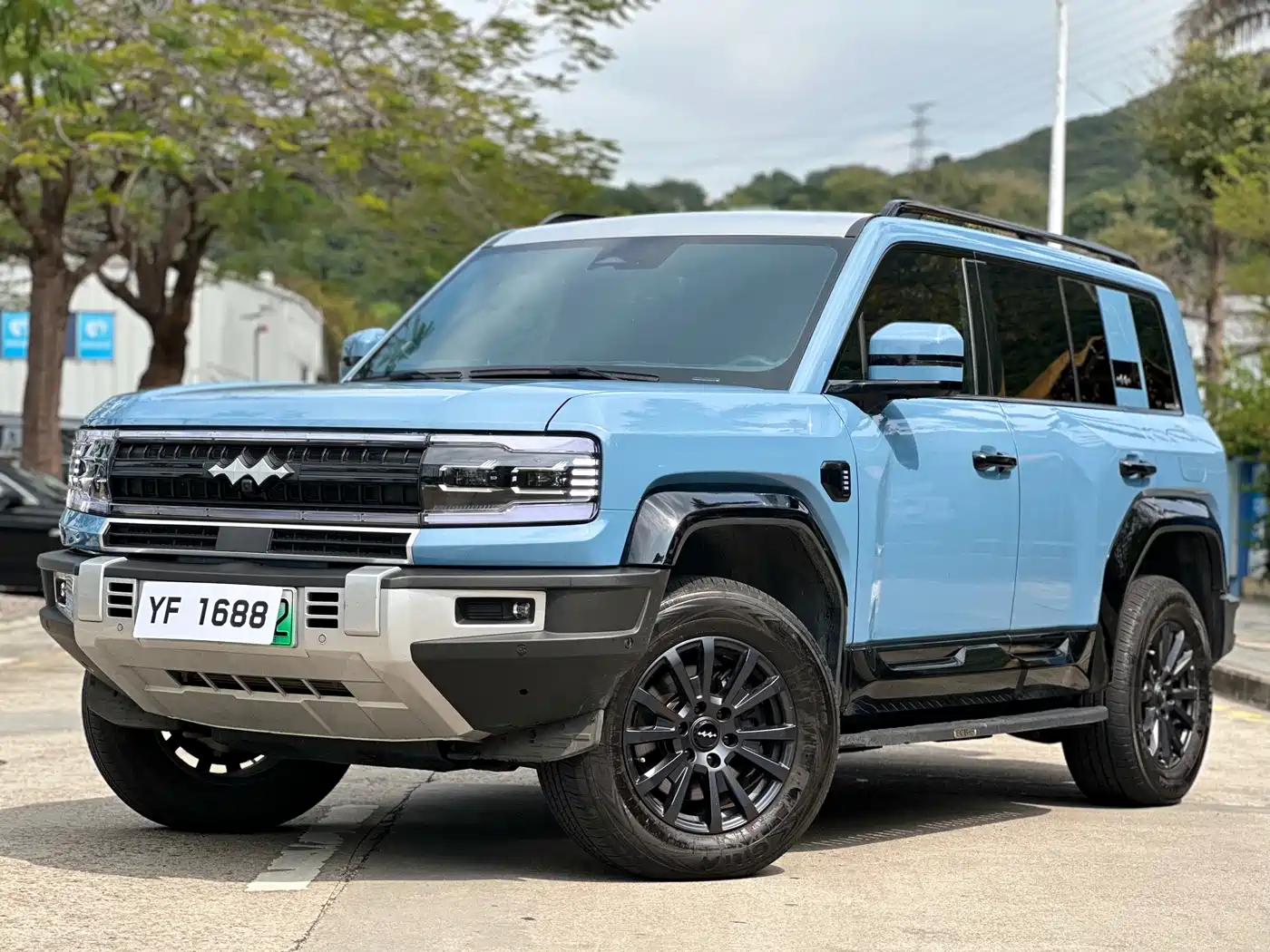 FANG CHENG BAO LEOPARD 5