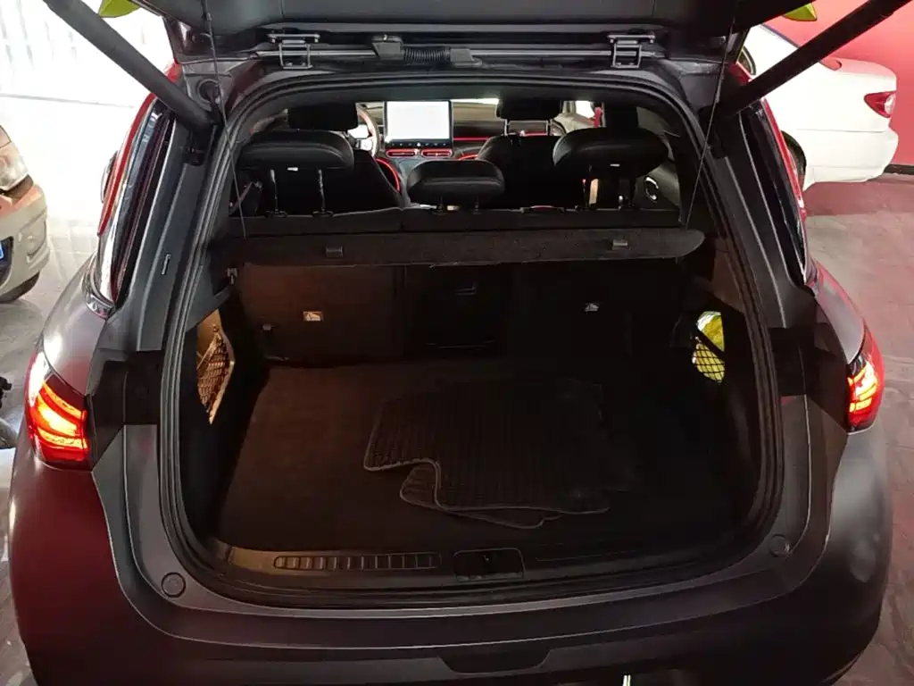 smart Elf #1 2022 2022 BRABUS Performance Edition