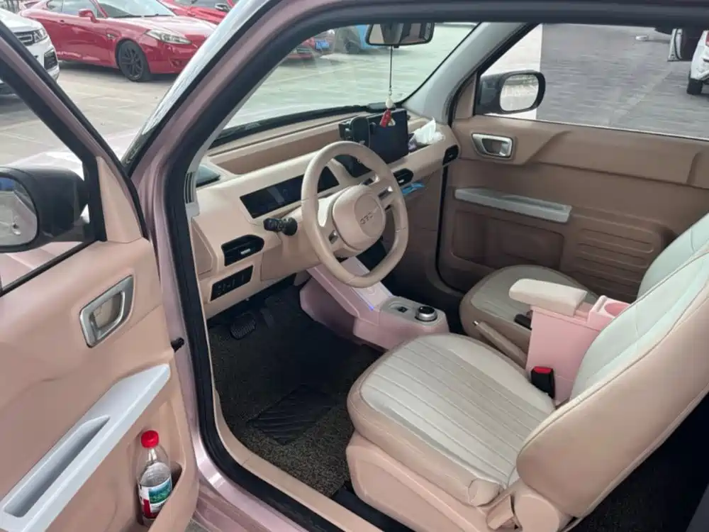 Geely Galaxy Panda 2023 2023 Panda Mini 200km Lively Bear