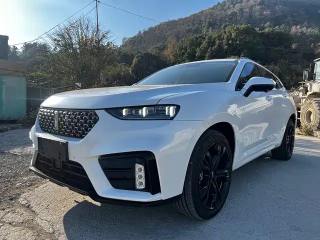 WEI PAI WEI BRAND VV7