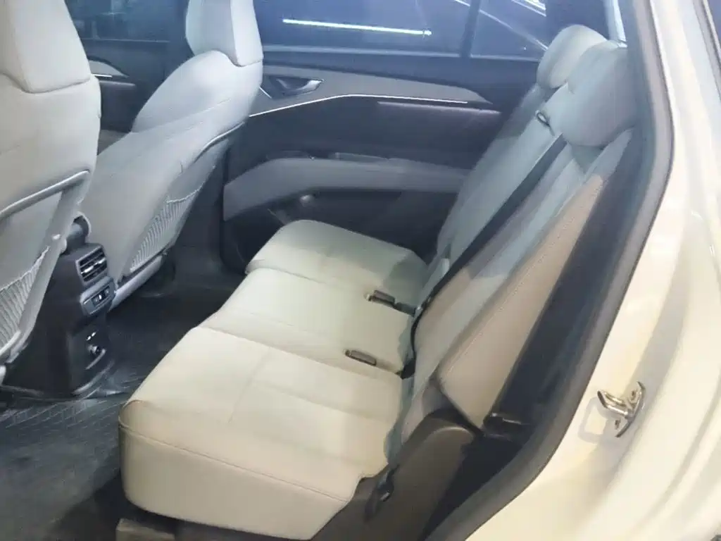 Audi Q5 e-tron 2024 2023 40 e-tron Starlight Edition Mecha Package