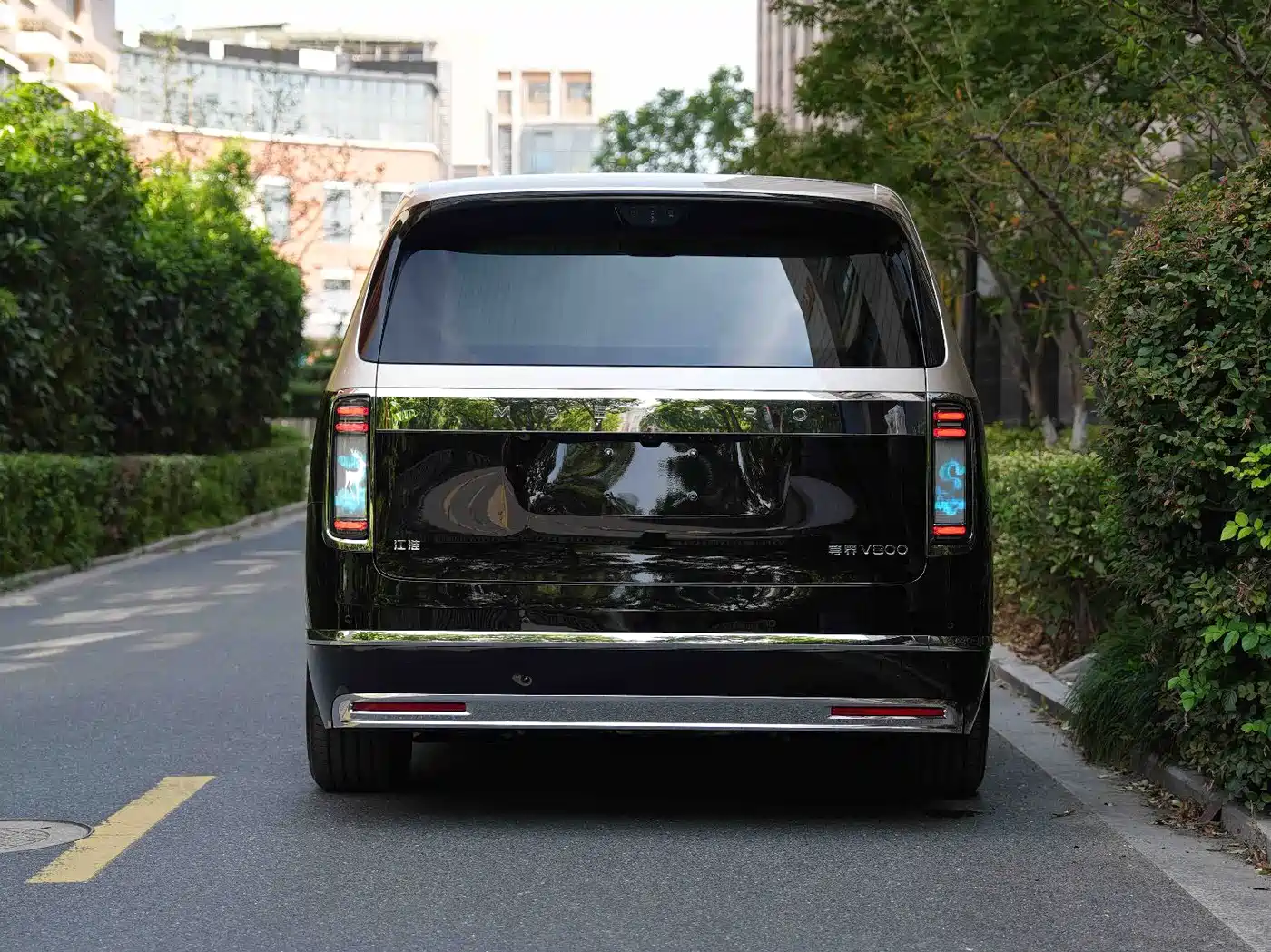 Zunjie V800 2026