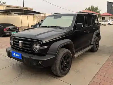 Tank 300