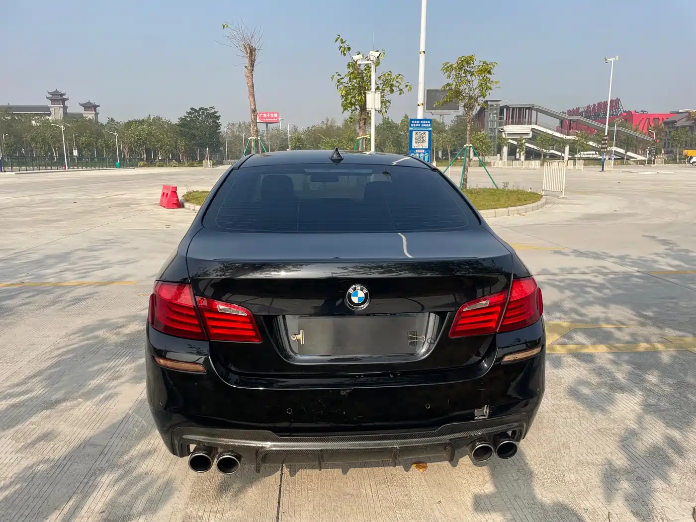 BMW 5 Series 2013 525Li Luxury фото 7
