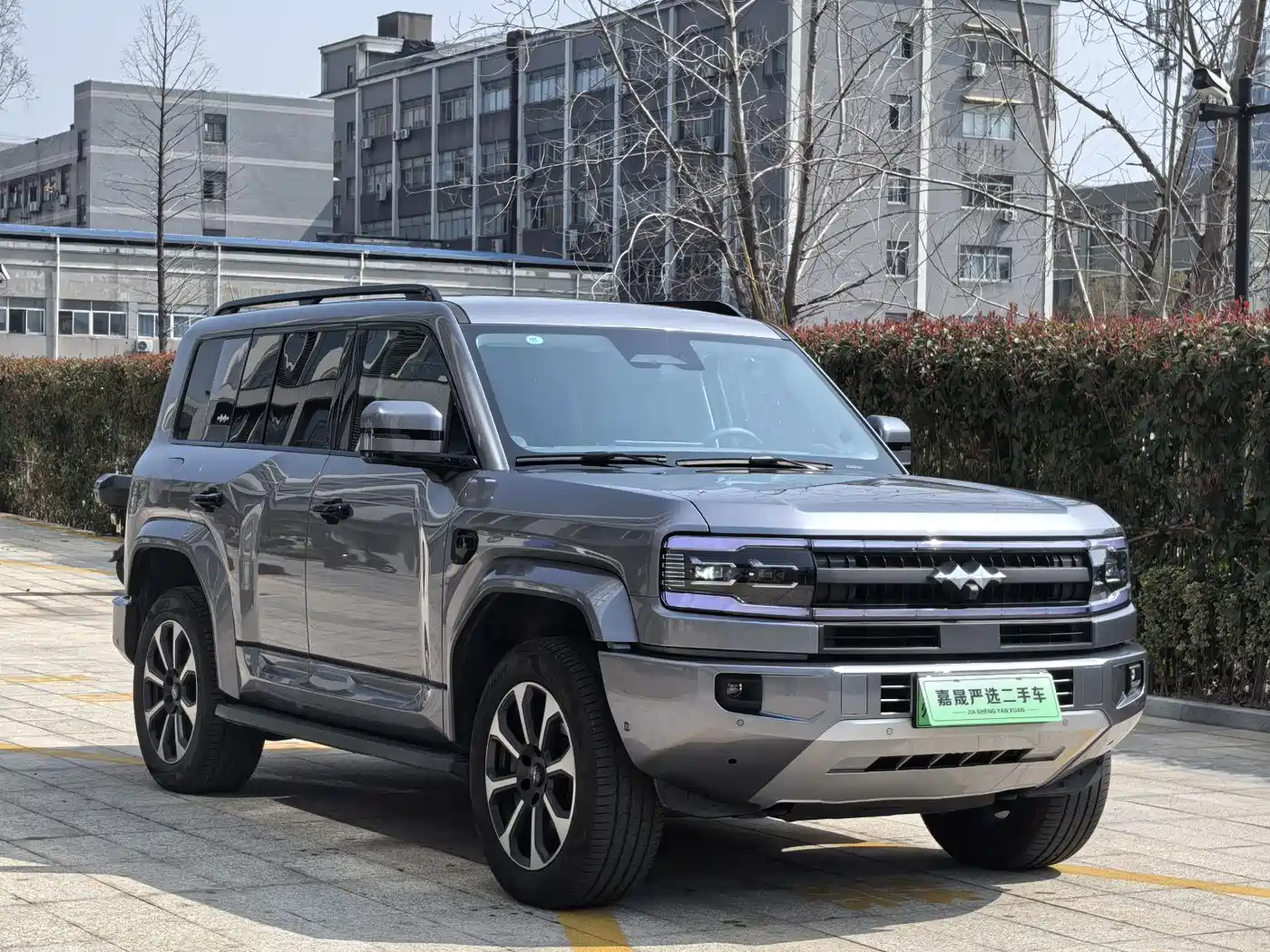 FANG CHENG BAO LEOPARD 5