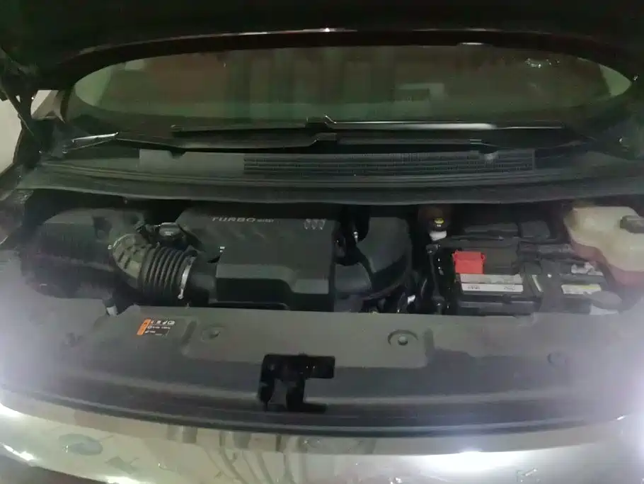 Buick Century 2024 2023 2.0T 7-Seater World Edition