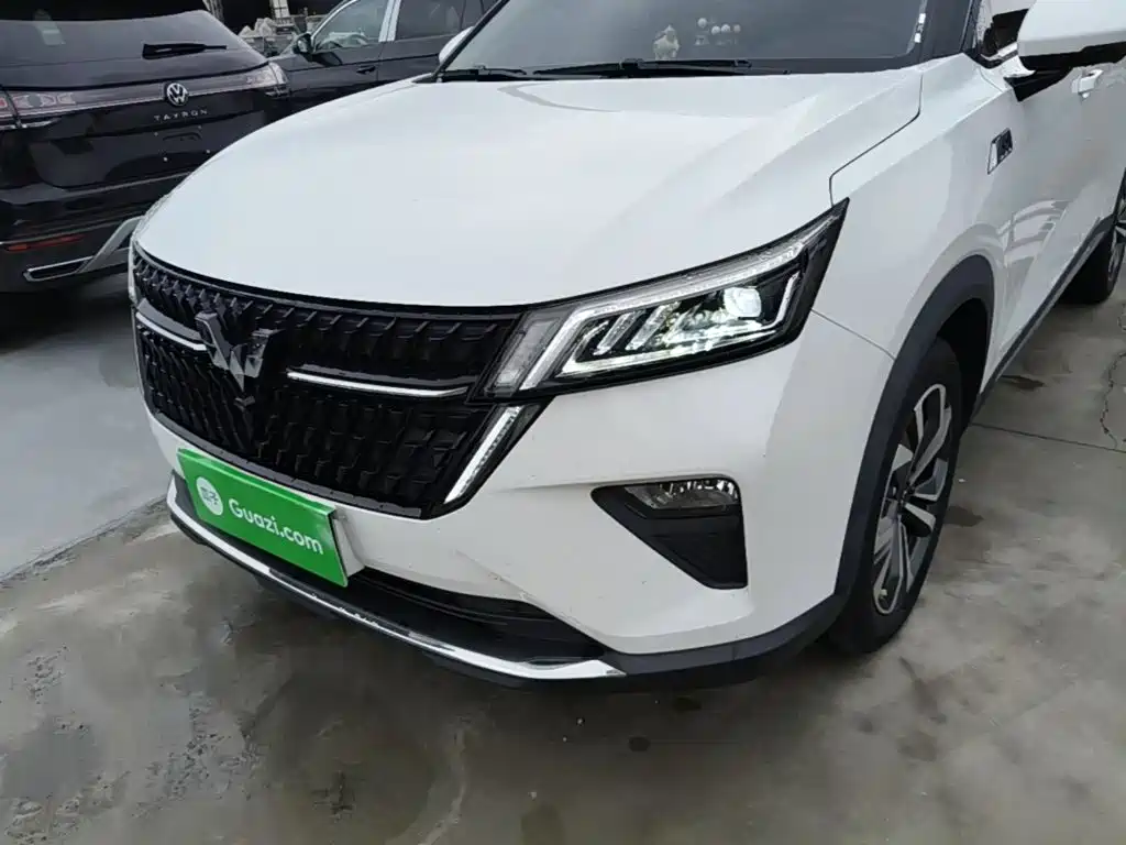 Wuling Motors Wuling Xingchen 2024 2022 2.0L DHT Electric Speed Edition