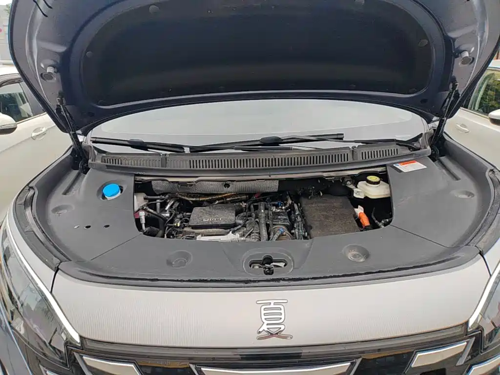 BYD Xia 2025 2025 DM-i 1.5T 180km Surpass Edition