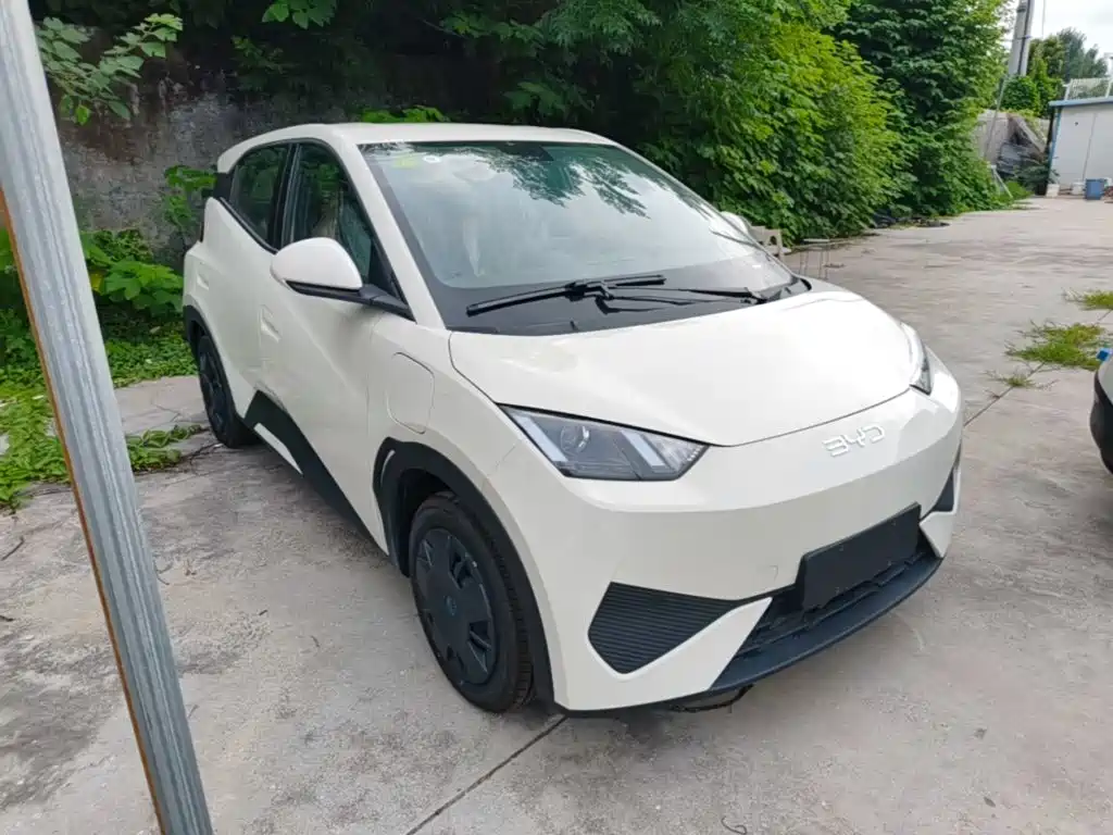 BYD Seagull 2026 2025 Smart Drive Edition 305km Vitality Version