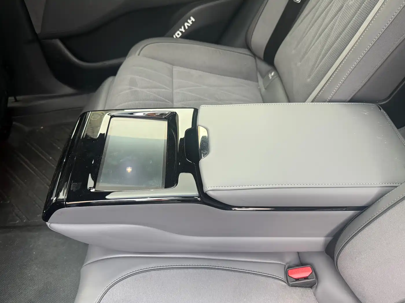 Voyah Passion 2024 2023 4WD Flagship Edition
