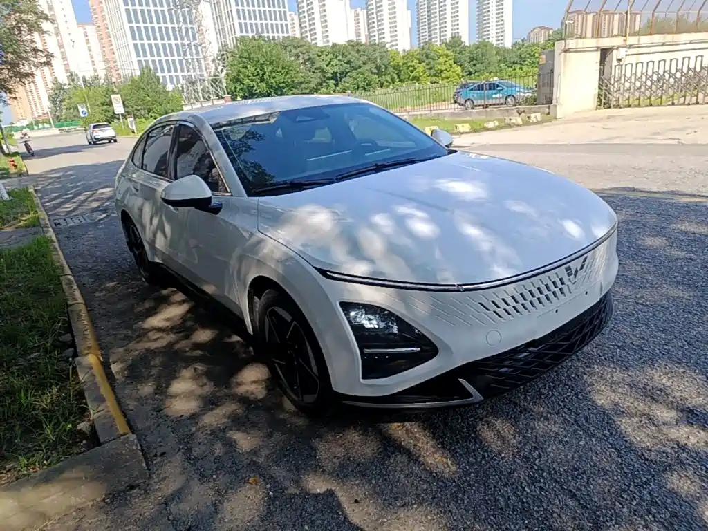 Wuling Motors Wuling Xingguang 2025 2025 150km Smart Pilot