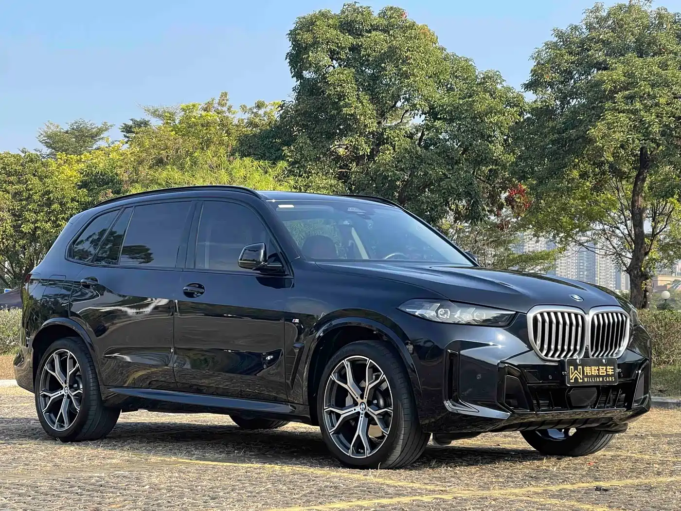 BMW X5 2023 xDrive 30Li Premium M Sport Black Night Package фото 3