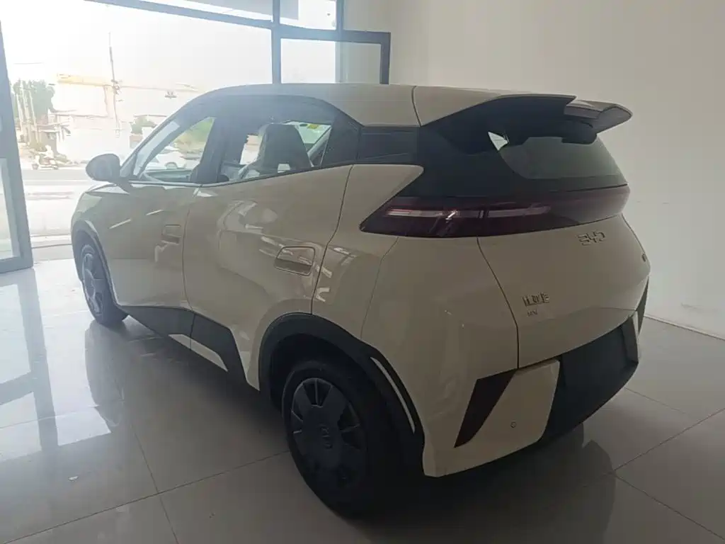 BYD Seagull 2026 2025 305km Vitality