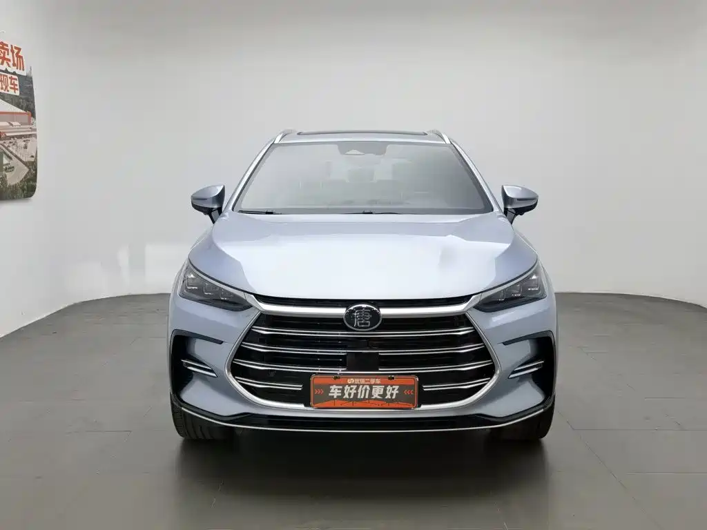 Photo 3 - BYD Tang New Energy
