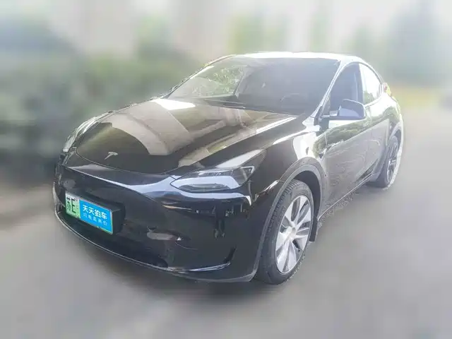 Tesla Model Y 2022 Rear-Wheel Drive Version — фото 1