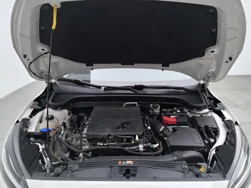 Ford Focus 2022 2021 Sedan EcoBoost 180 Auto Trend