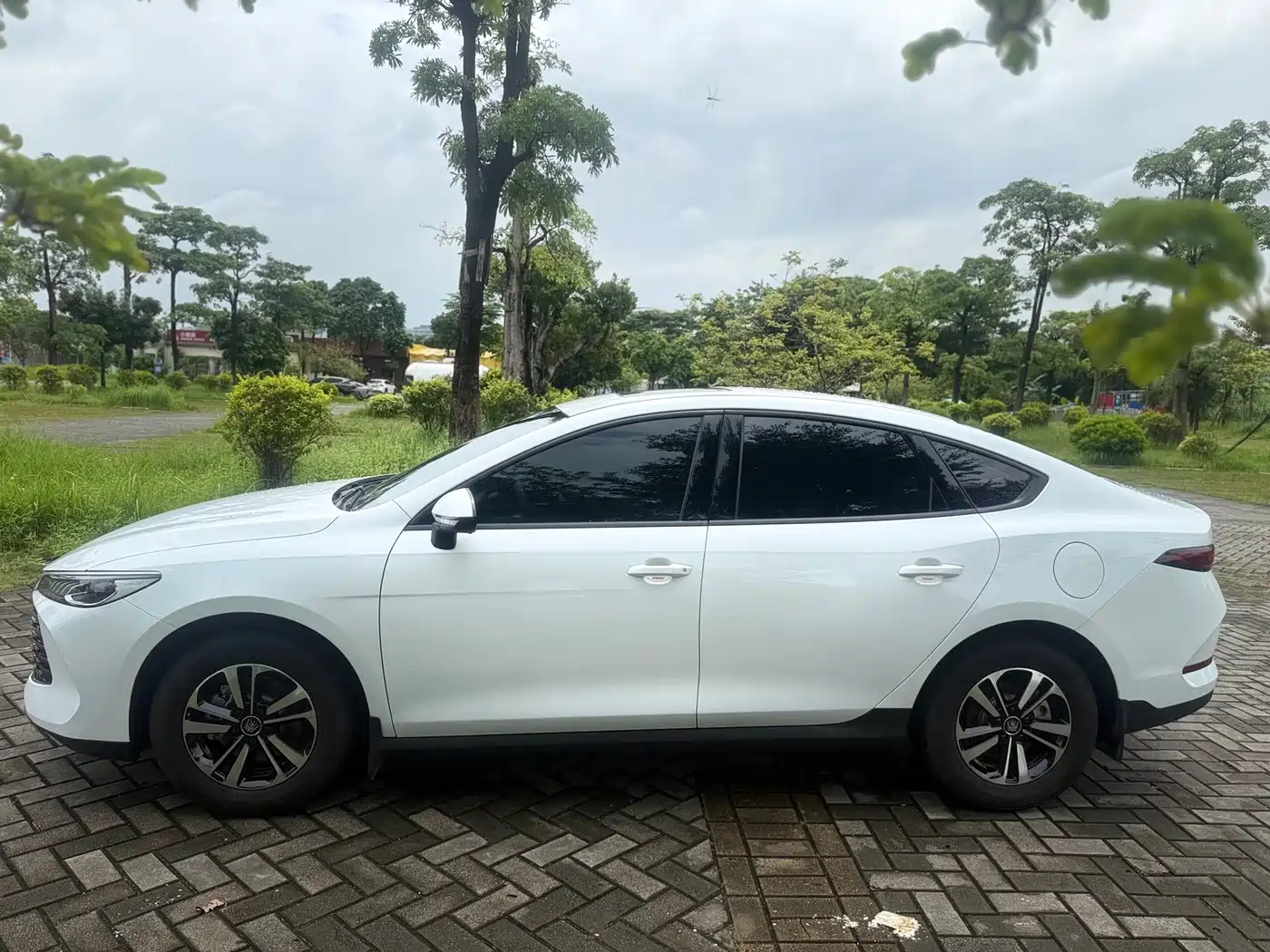 2026 BYD Qin PLUS