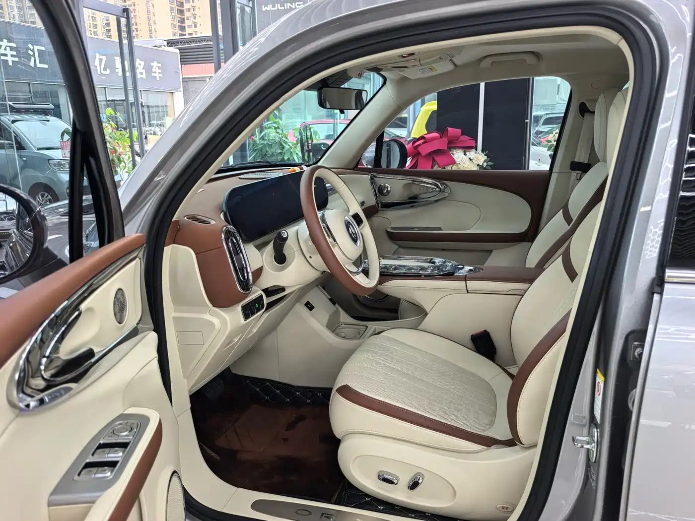 Ora Ballet Cat 2024 2023 401km Premium Model