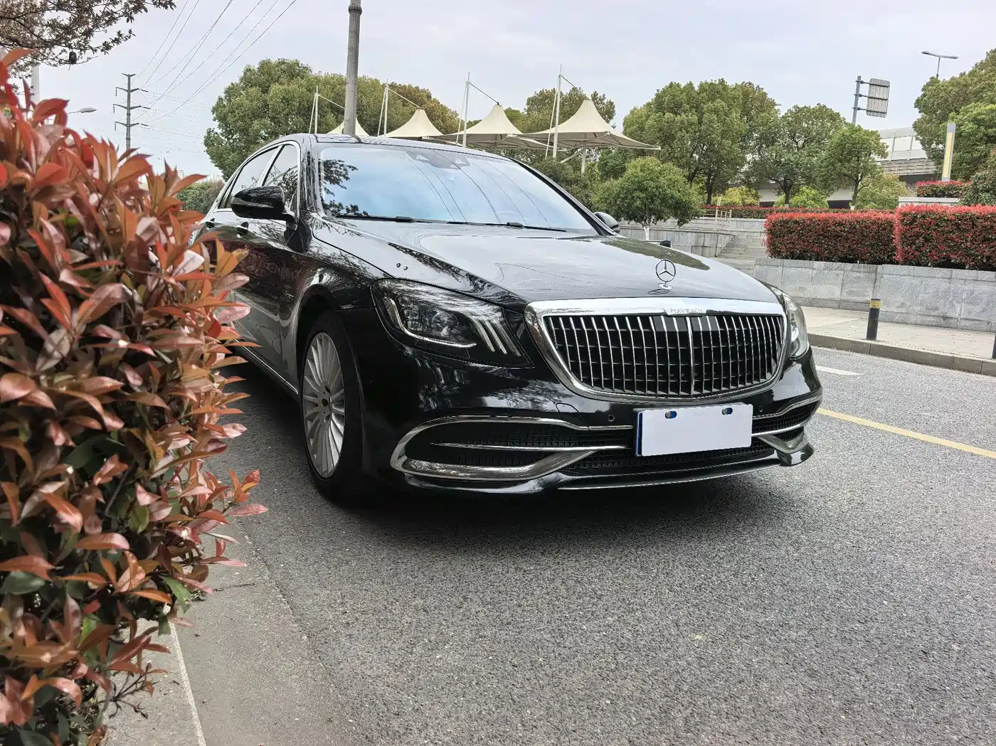 Mercedes-Benz Maybach S-Class 2019 S 450 4MATIC фото 3