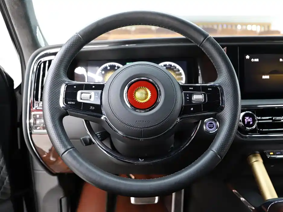 Hongqi HONGQI GUOYAO