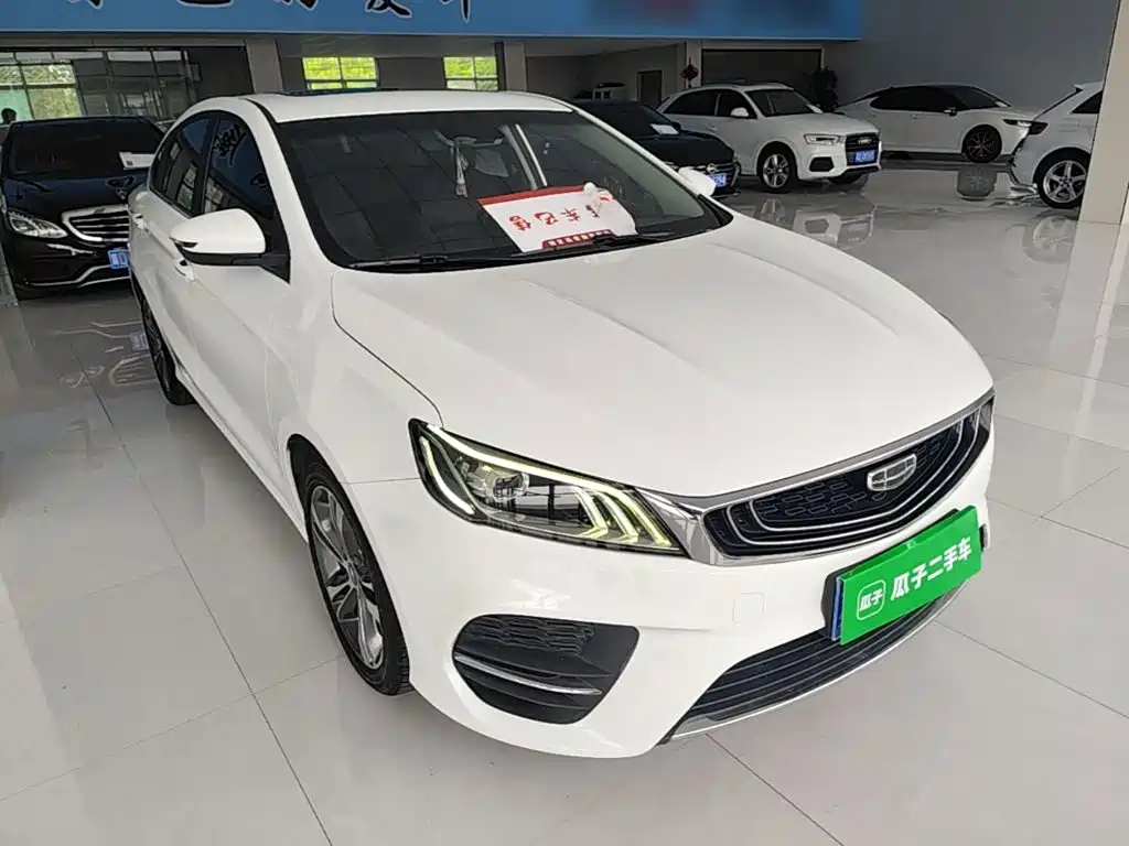 Фото 4 - Geely Binrui