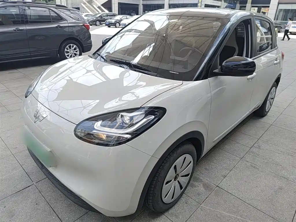 Wuling Motors Wuling Bingo 2023 Model 203km Lite Enjoyment Edition
