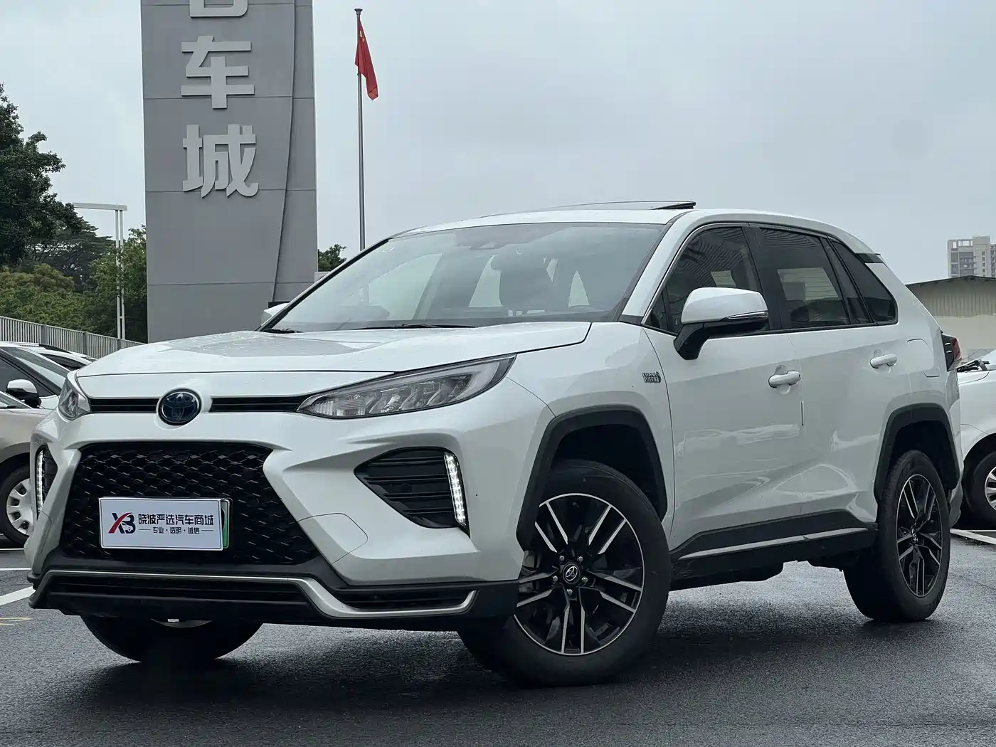 Toyota Wildlander New Energy 2021