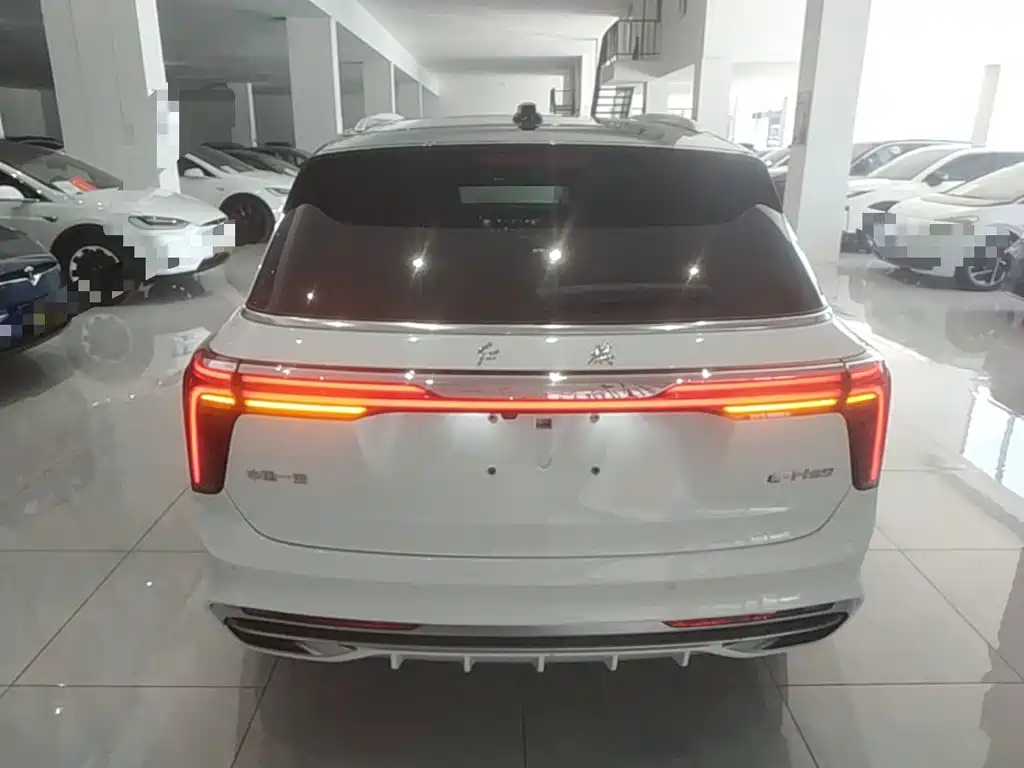 Hongqi E-HS9 2023 2022 660km Qi Chang Edition (6-seater)