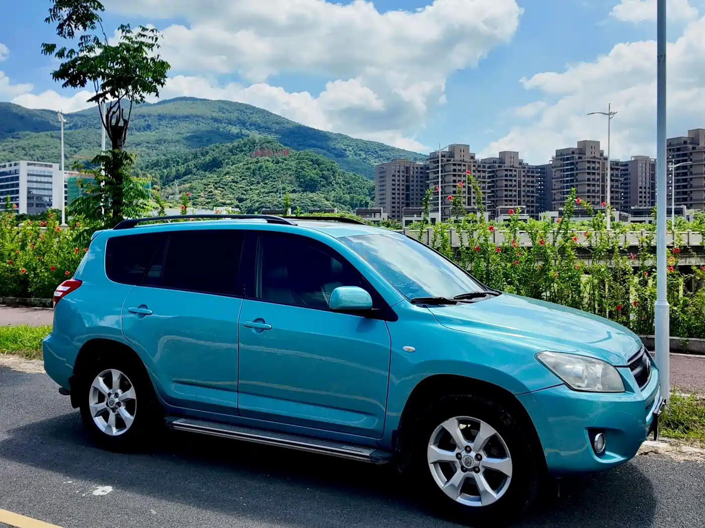 Toyota RAV4 2009 2009 2.0L Automatic Luxury Edition