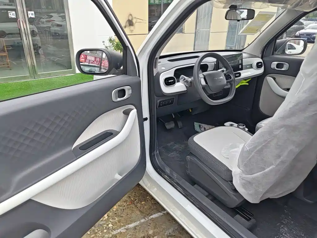 Geely Galaxy Panda 2026 2025 Panda mini 210km Vitality Bear