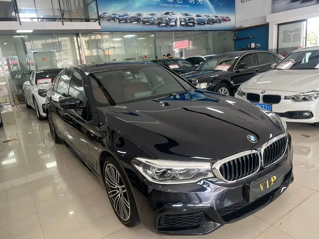 BMW 5 Series 2019 530Li Premium M Sport Package