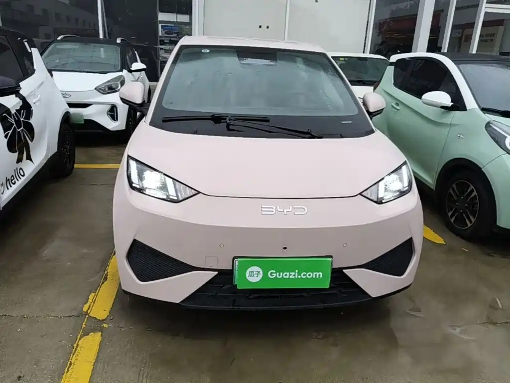 BYD Seagull 2026 2025 Smart Drive Edition 305km Freedom Version