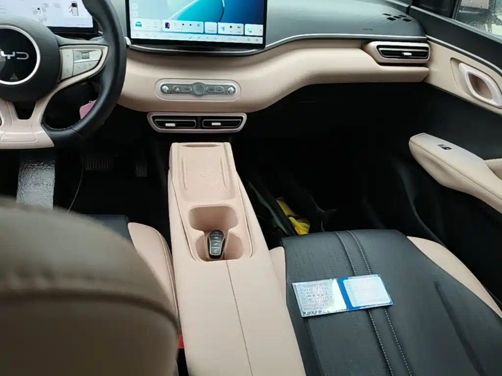 BYD Seagull 2026 2025 Smart Drive Edition 305km Freedom Version