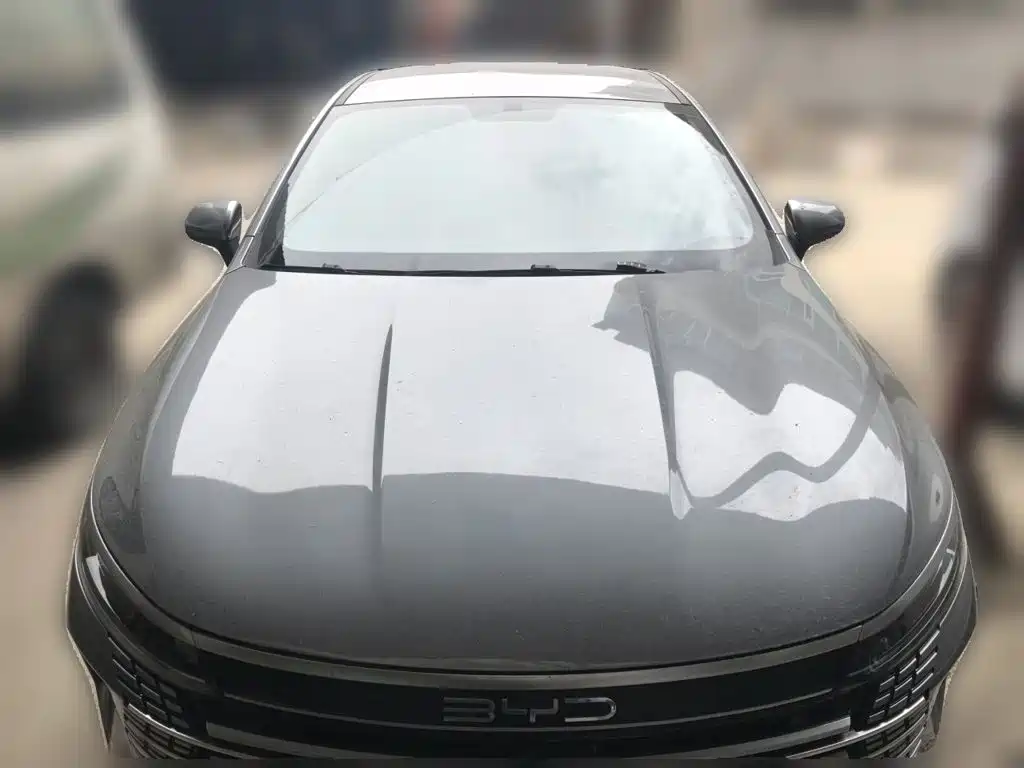 BYD Destroyer 05 2024 2024 Glory Edition DM-i 55KM Luxury