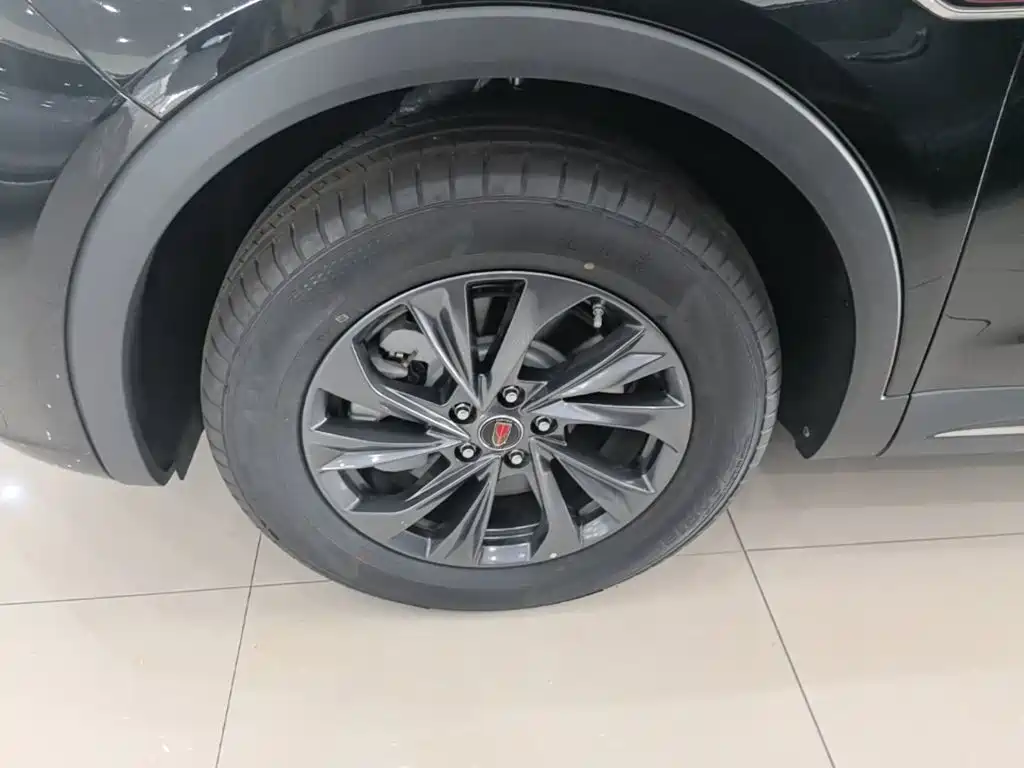 Hongqi HS5 2025 2025 2.0T 2WD Qixiang Pro