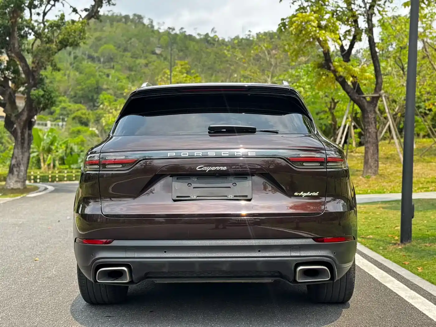 PORSCHE CAYENNE NEW ENERGY