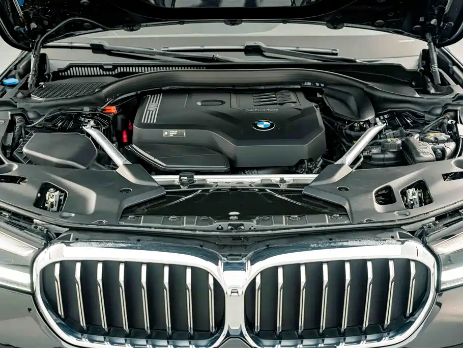 BMW 5 Series 2021 530Li Leading Luxury Package фото 22