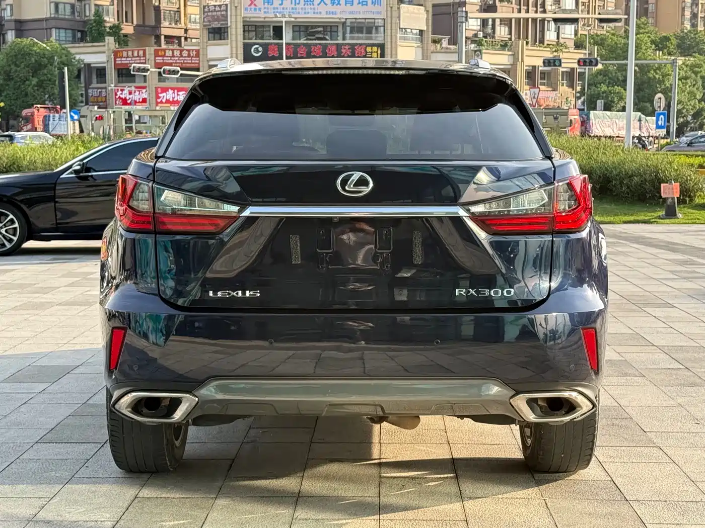 Lexus RX 2016 2016 300 4WD Elegance Edition (China V)