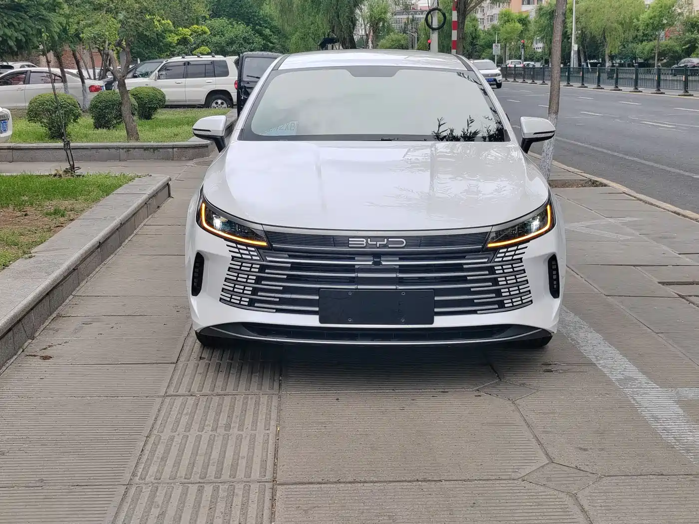BYD Destroyer 05 2025 2025 Model DM-i 55KM Smooth Ride Edition