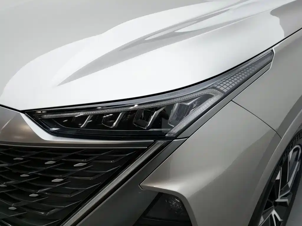 Roewe RX9 2024 2023 2.0T 2WD Premium Edition
