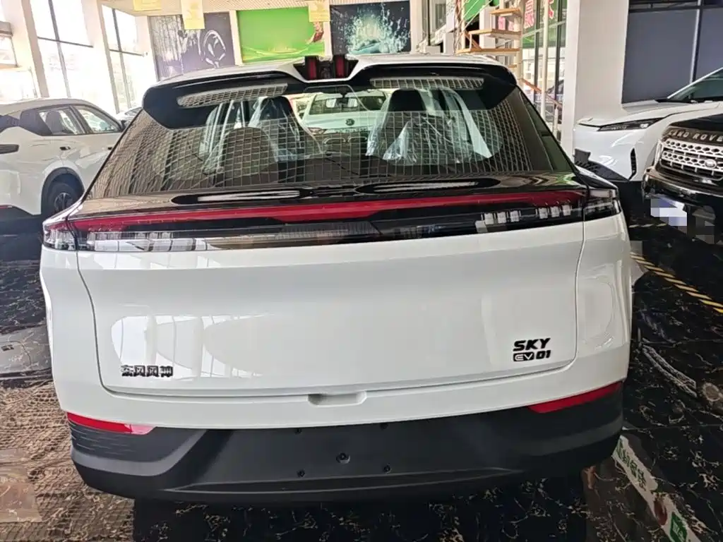 Фото 4 - Dongfeng Aeolus SKY EV01