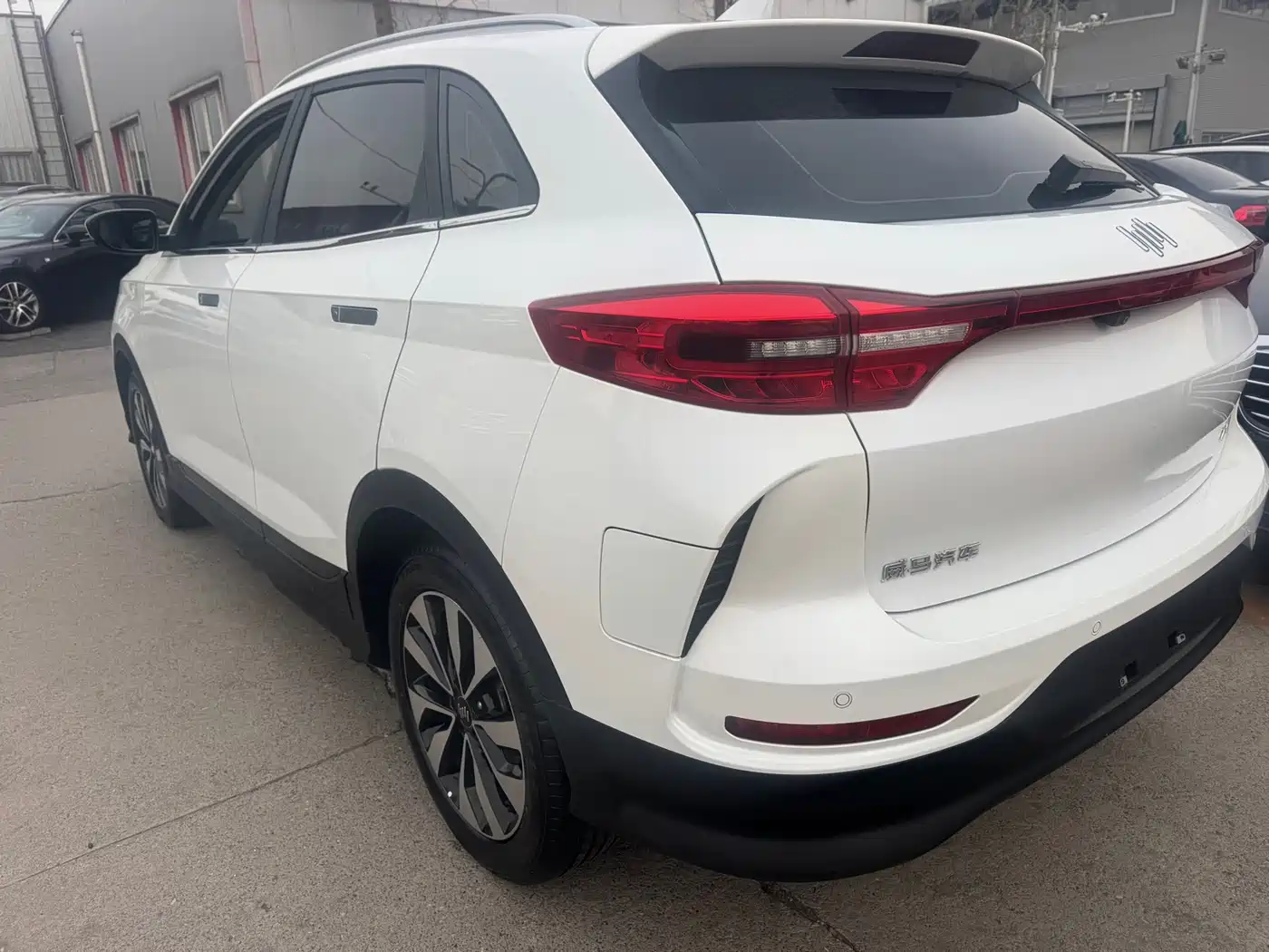 Weltmeister WEIMA EX5