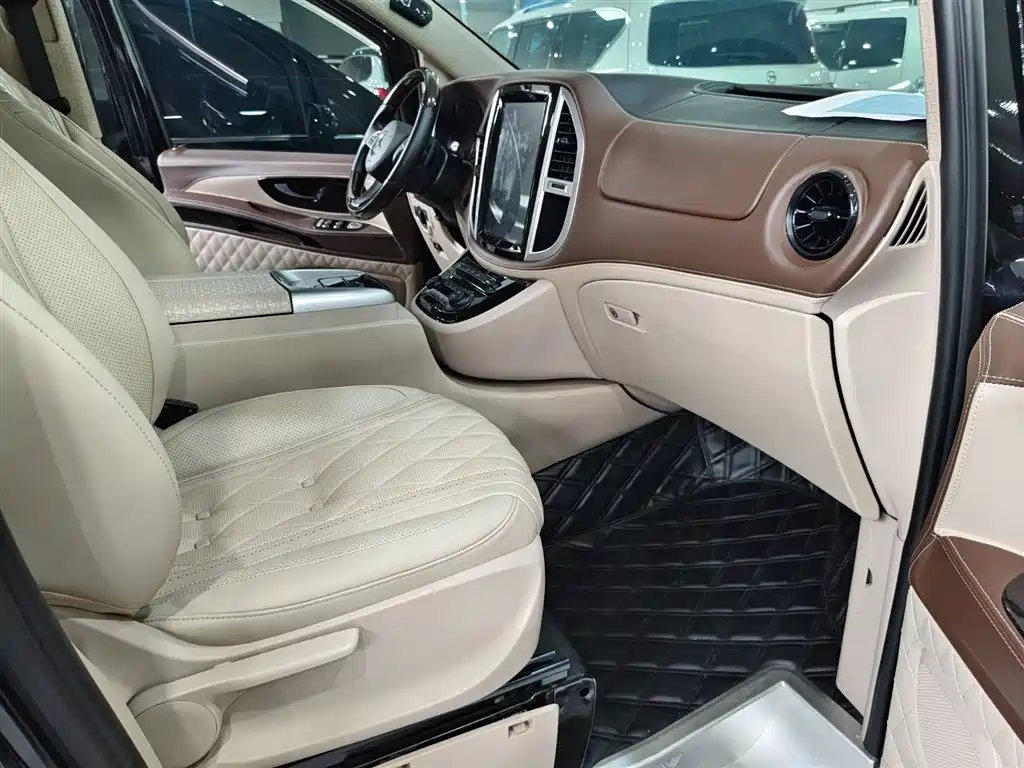 BOCHI PLATINUM CHI NV SERIES